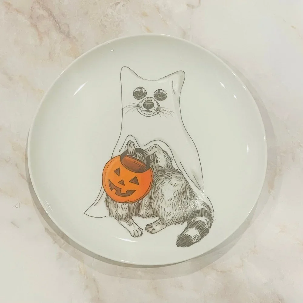 Halloween Racoon Ghost NIB West Elm Rachel Kozlowski Dapper Animals Plate